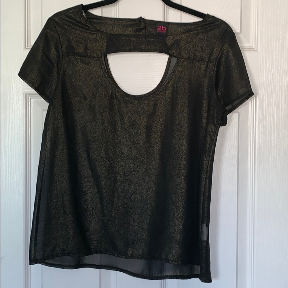 Sheer Gold blouse.